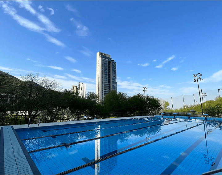 Vertical Section image